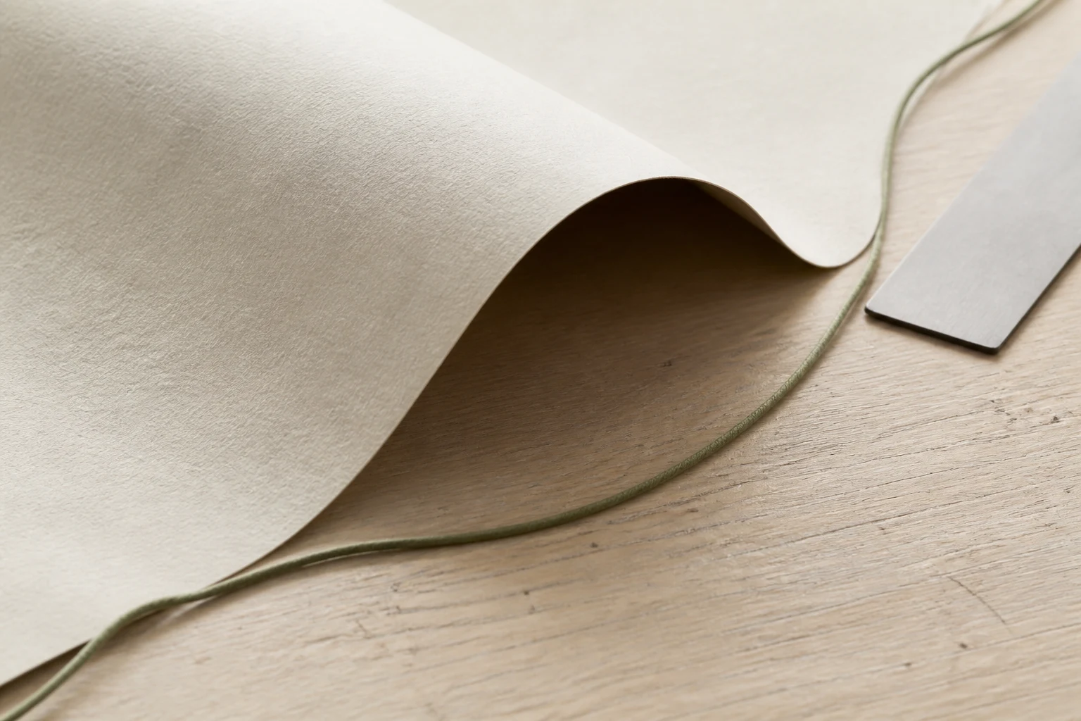 Folded cream paper and a sage line forming a considered contour